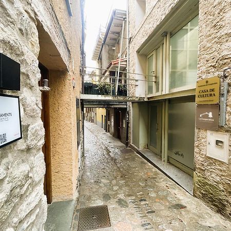 Apartamento Duplex En El Corazon De Camprodon, La Rovira Exteriér fotografie